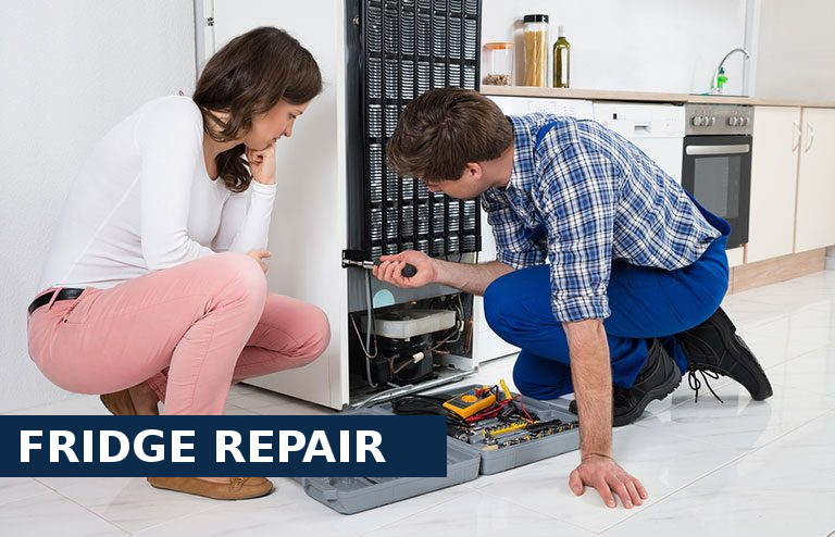 Fridge Repair Richmond Hill
